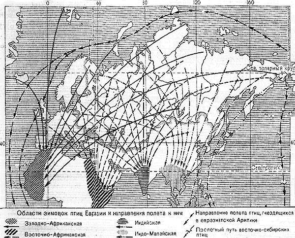 Карта Пролета Гусей 2015